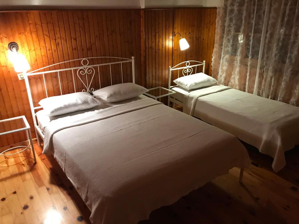 9Mouses Chasiotis Guest House Ampelakia Exterior photo