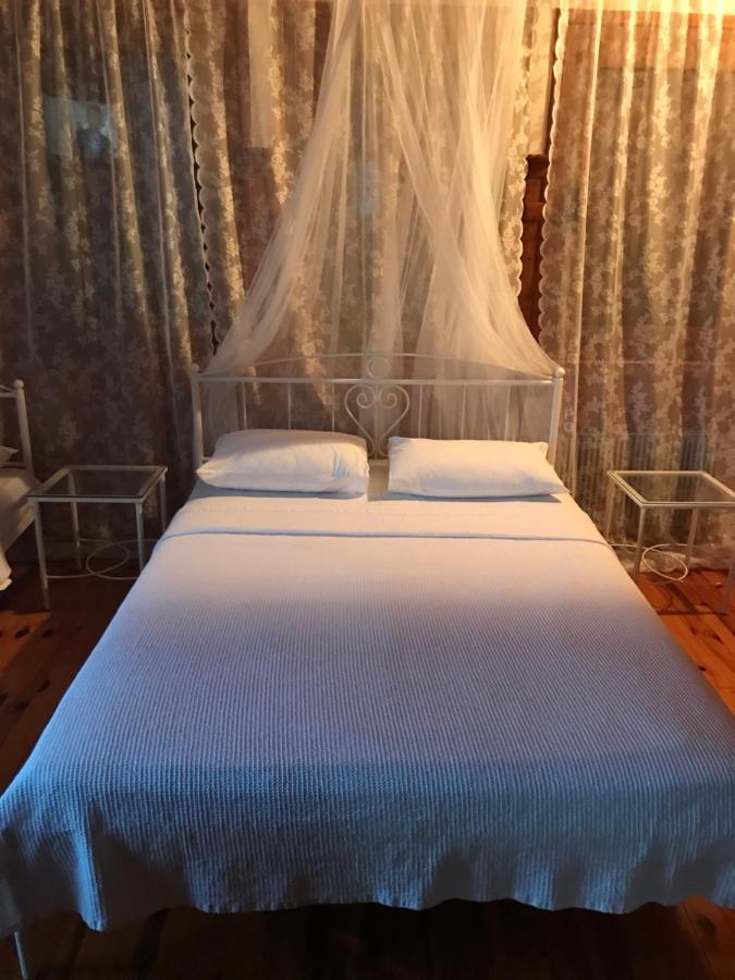 9Mouses Chasiotis Guest House Ampelakia Exterior photo