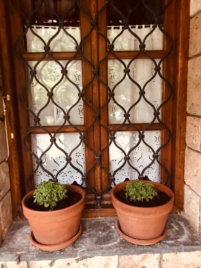 9Mouses Chasiotis Guest House Ampelakia Exterior photo