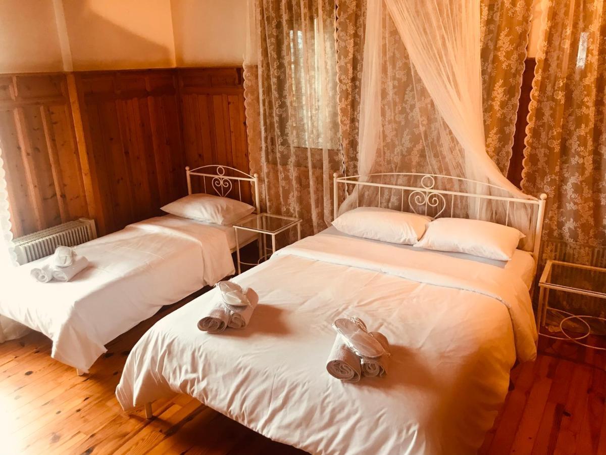 9Mouses Chasiotis Guest House Ampelakia Exterior photo