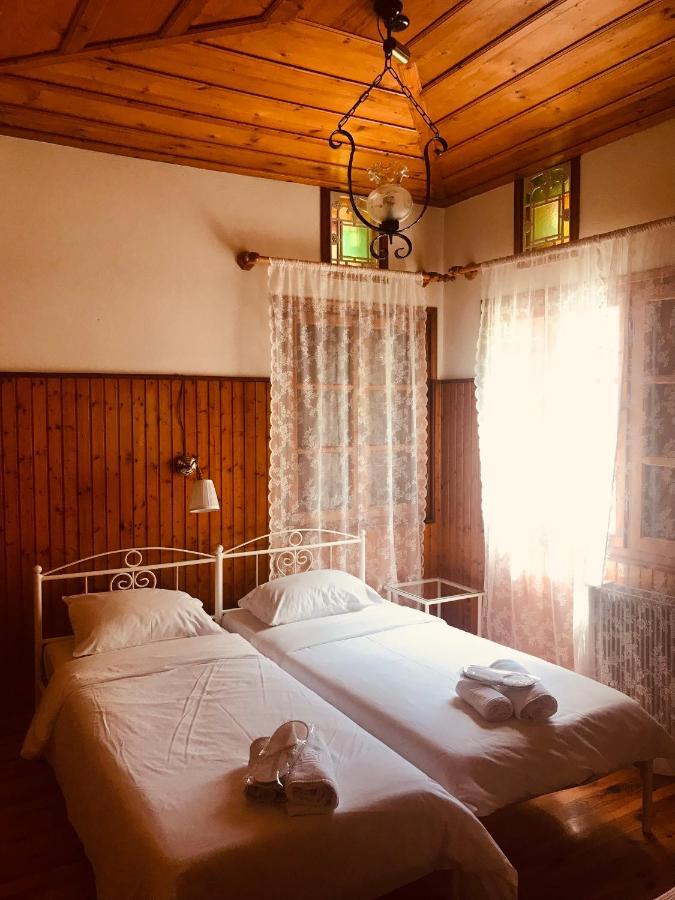 9Mouses Chasiotis Guest House Ampelakia Exterior photo