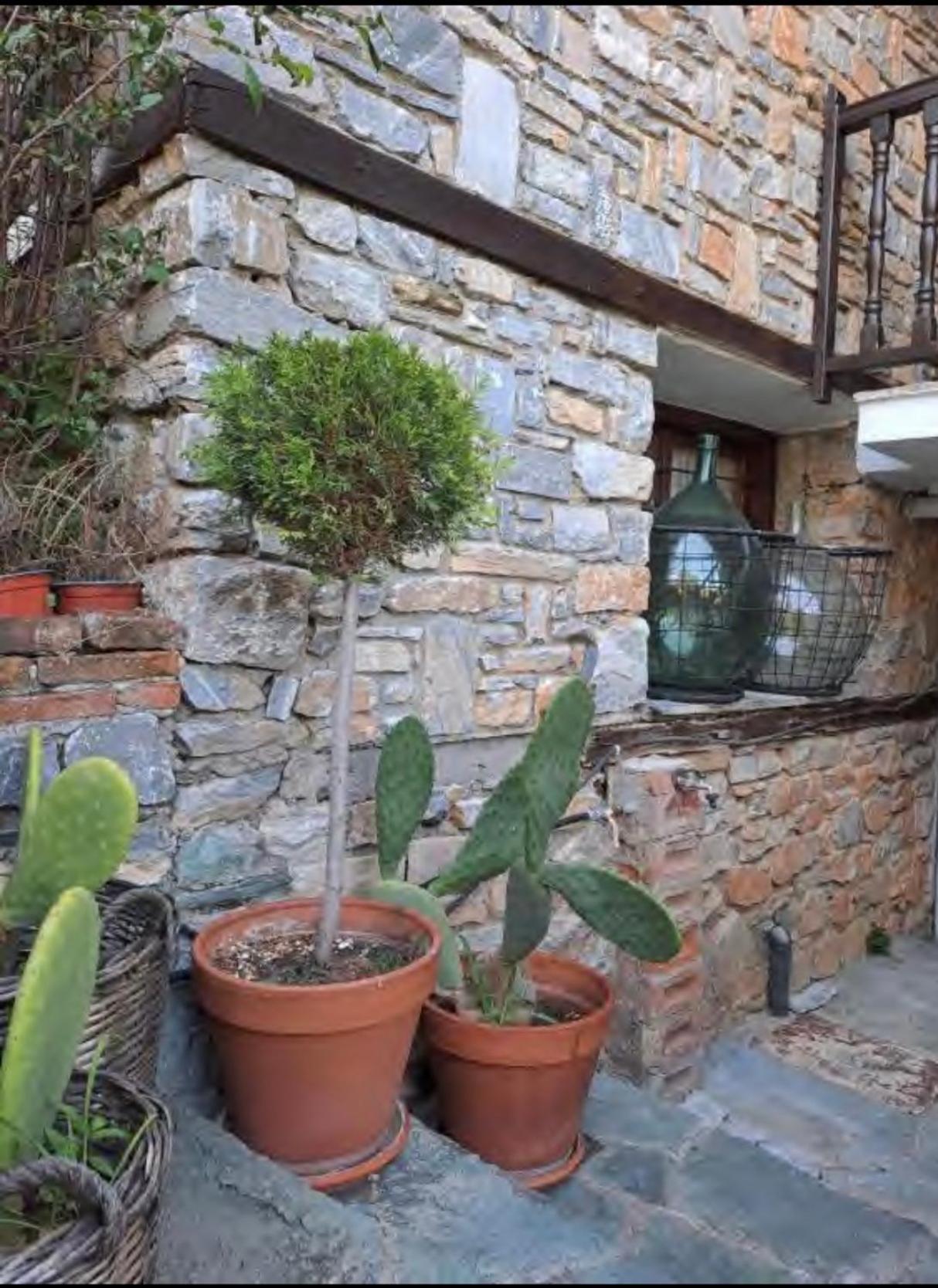 9Mouses Chasiotis Guest House Ampelakia Exterior photo